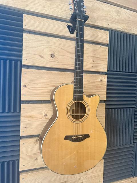 Guitares, basses et amplis du studio