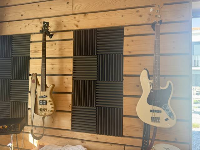 Guitares, basses et amplis du studio